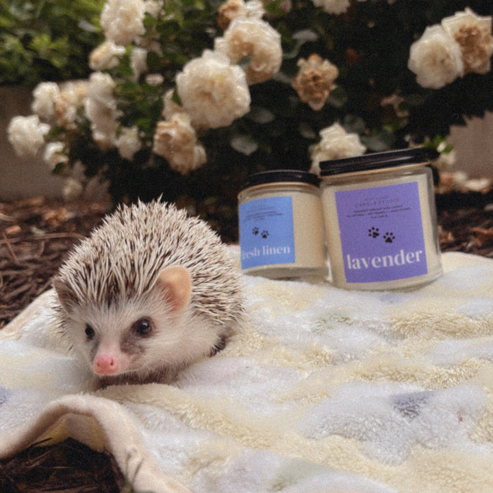 Fresh Linen Candle