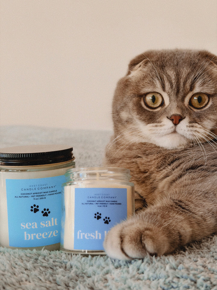 Sea Salt Breeze Candle