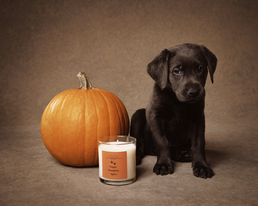 Pumpkin Spice Candle