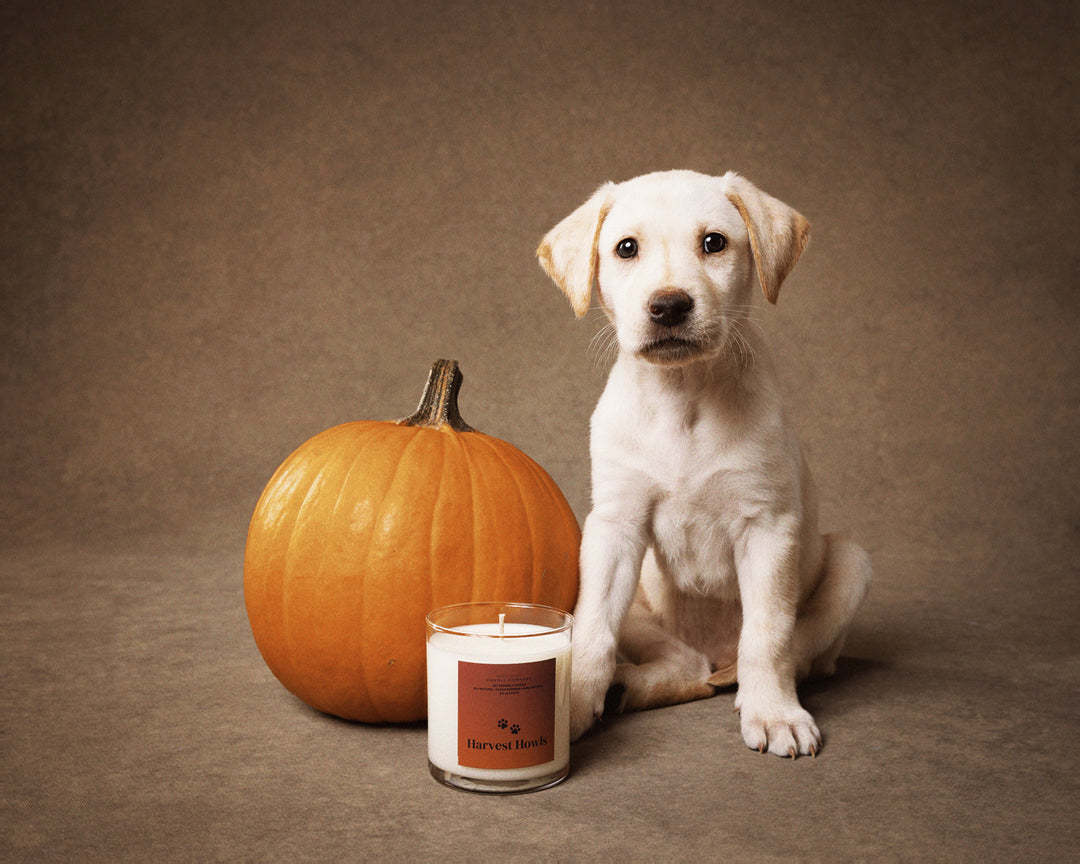 Harvest Howls Candle