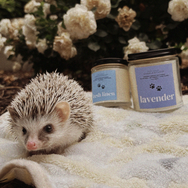 Fresh Linen Candle